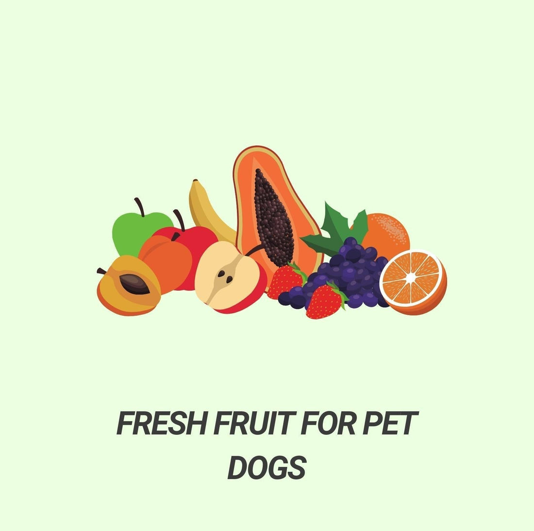 Foods Dogs Can Eat - Fruits - PawPawUp