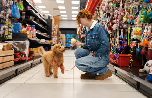 Woman kneeling in a pet store aisle showing a ball to a small dog surrounded by shelves of dog toys