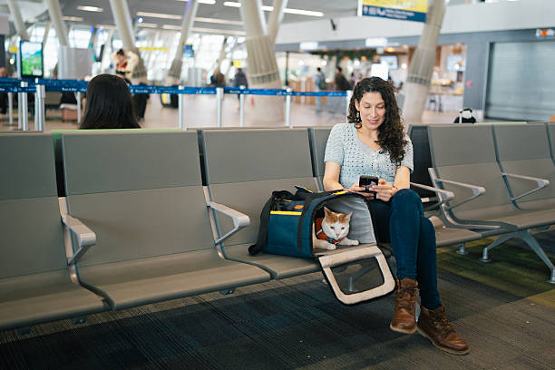 Woman waiting at the airport with a cat resting inside a travel-ready cat carrier