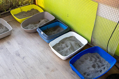 Multiple cat litter boxes arranged in separate areas for a multi-cat household
