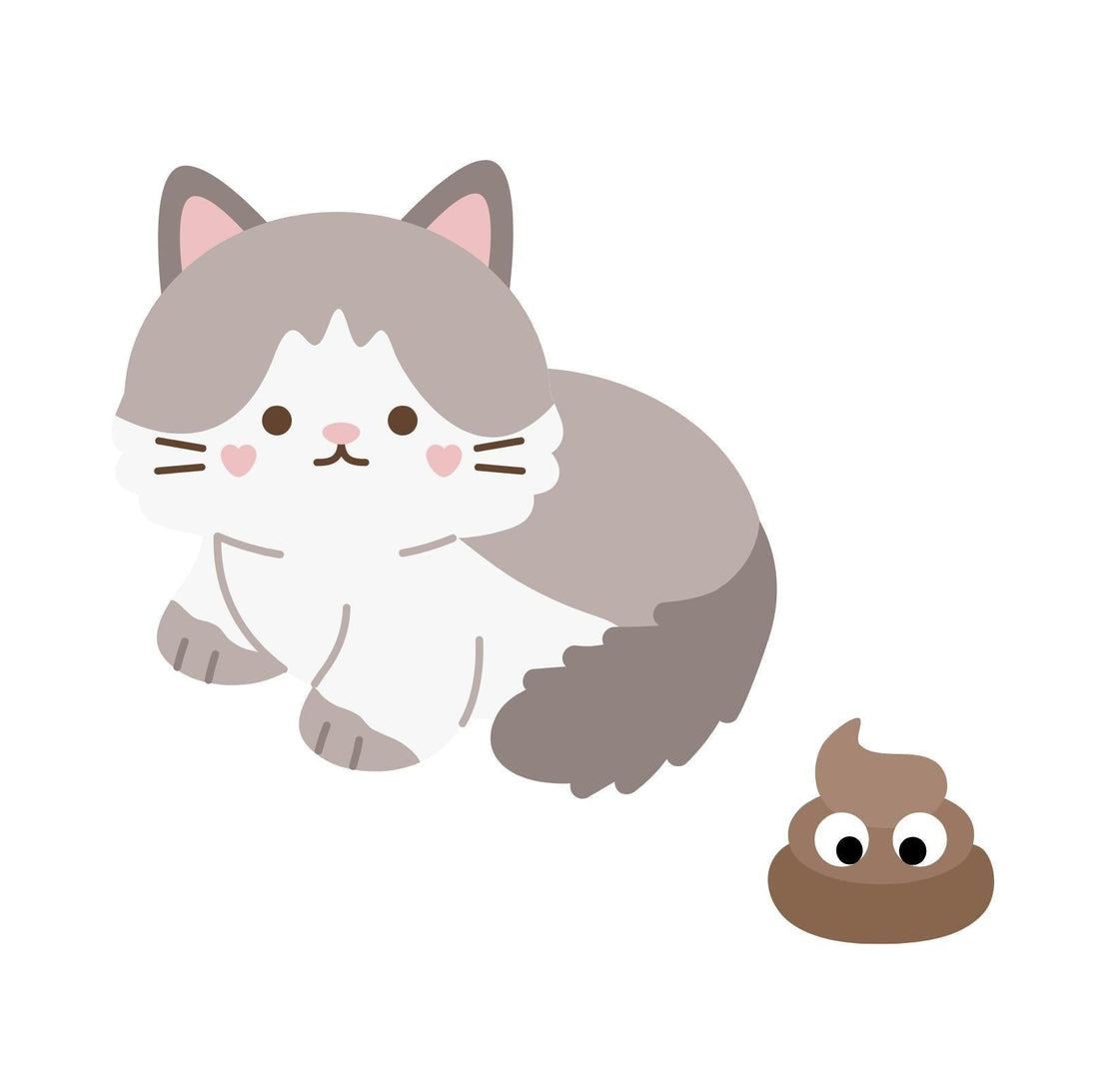 Signs Of Illness From Your Cat Part 2 - PawPawUp