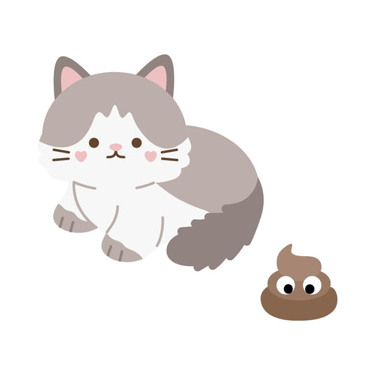 Signs Of Illness From Your Cat Part 2 - PawPawUp