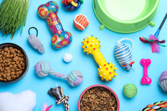 The Science Behind Pet Supplies: Understanding the Role of Nutrition and Well-being in Pet Care