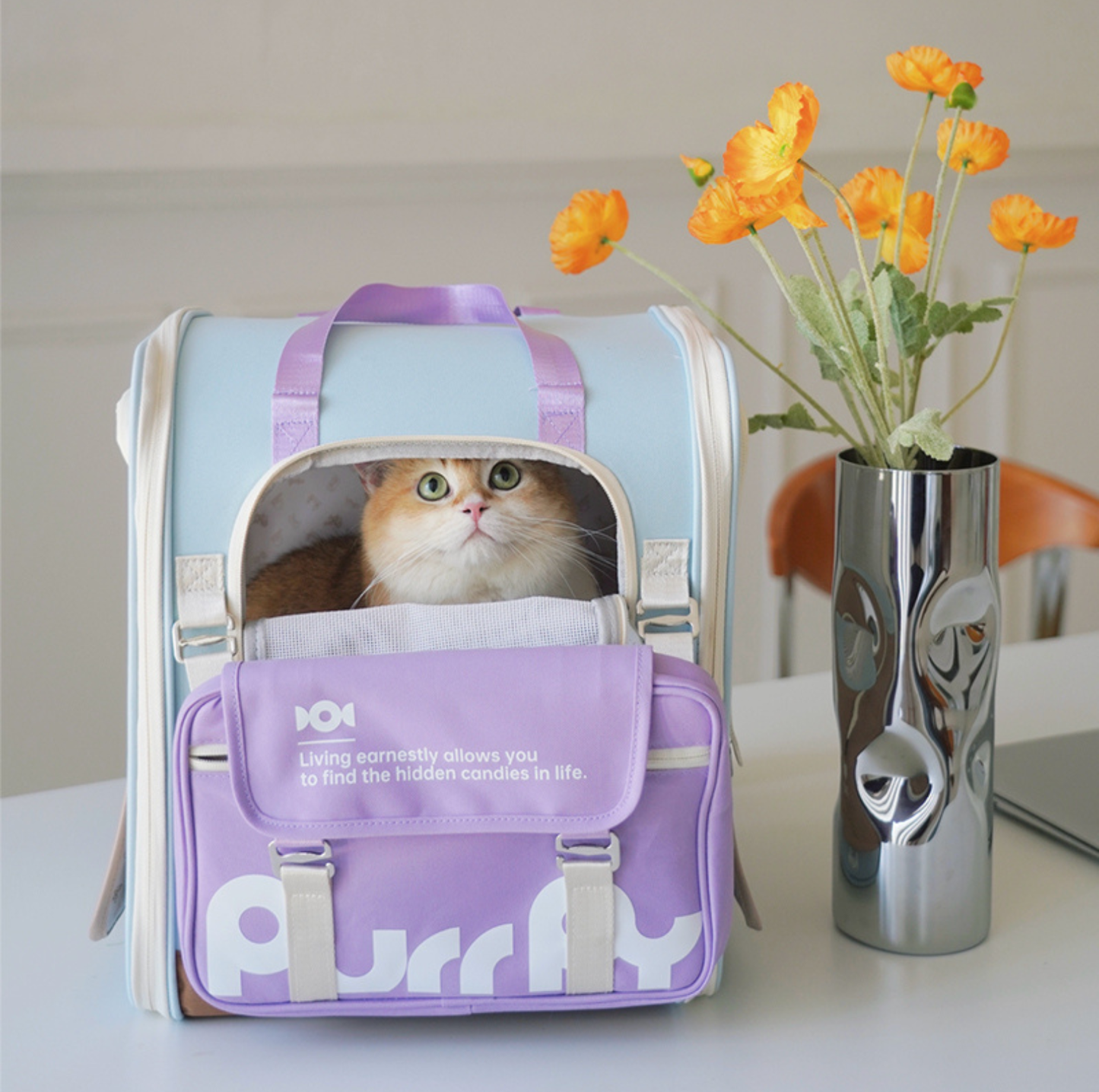 PurrPy Pet Travel Backpack with Detachable Mini Bag - Fresh Colours