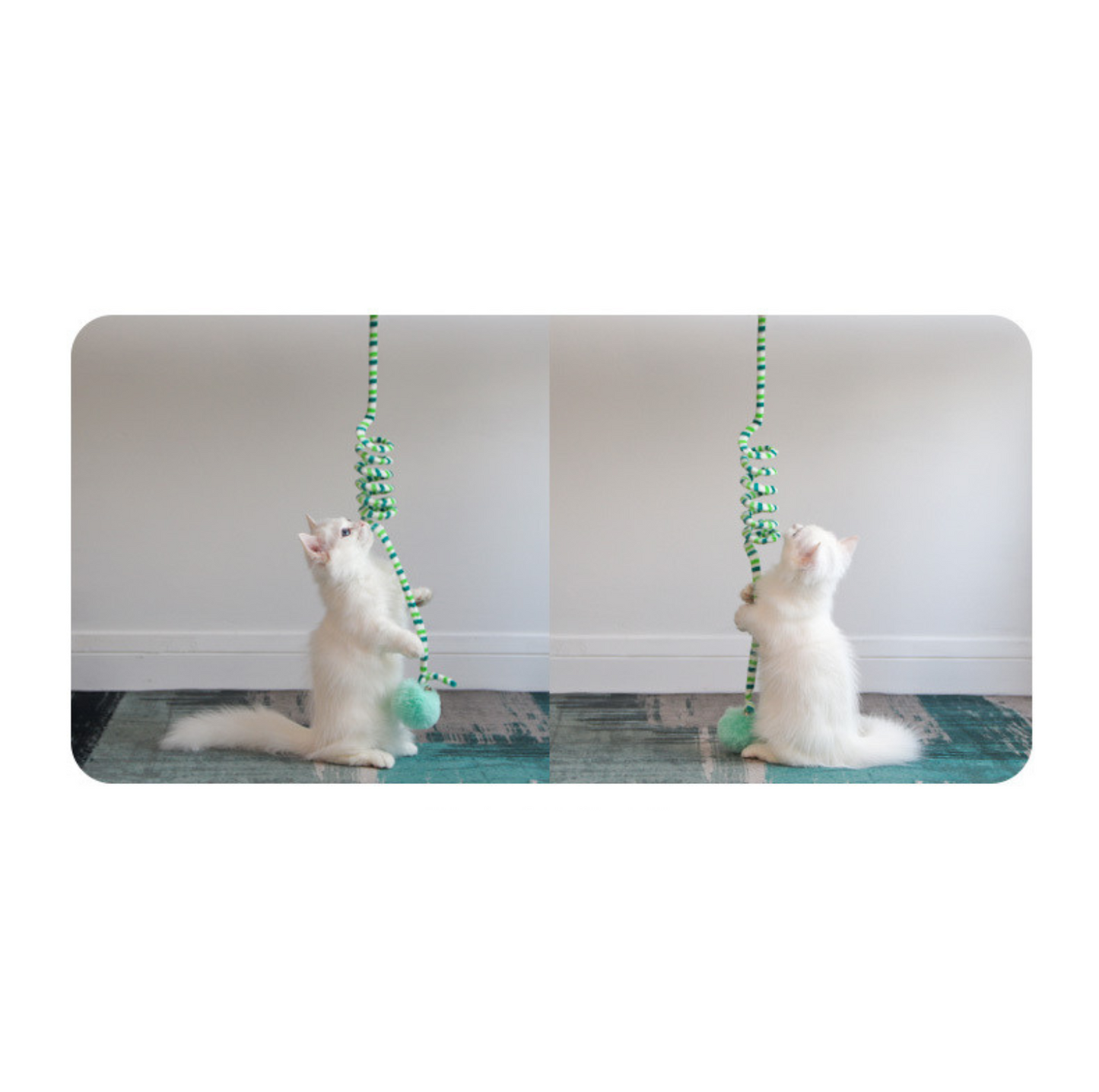 Hanging Elastic Cat Teaser Toy – Interactive Pom Ball with Suction Cup