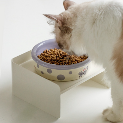 Patterned Ceramic Pet Feeding Bowl