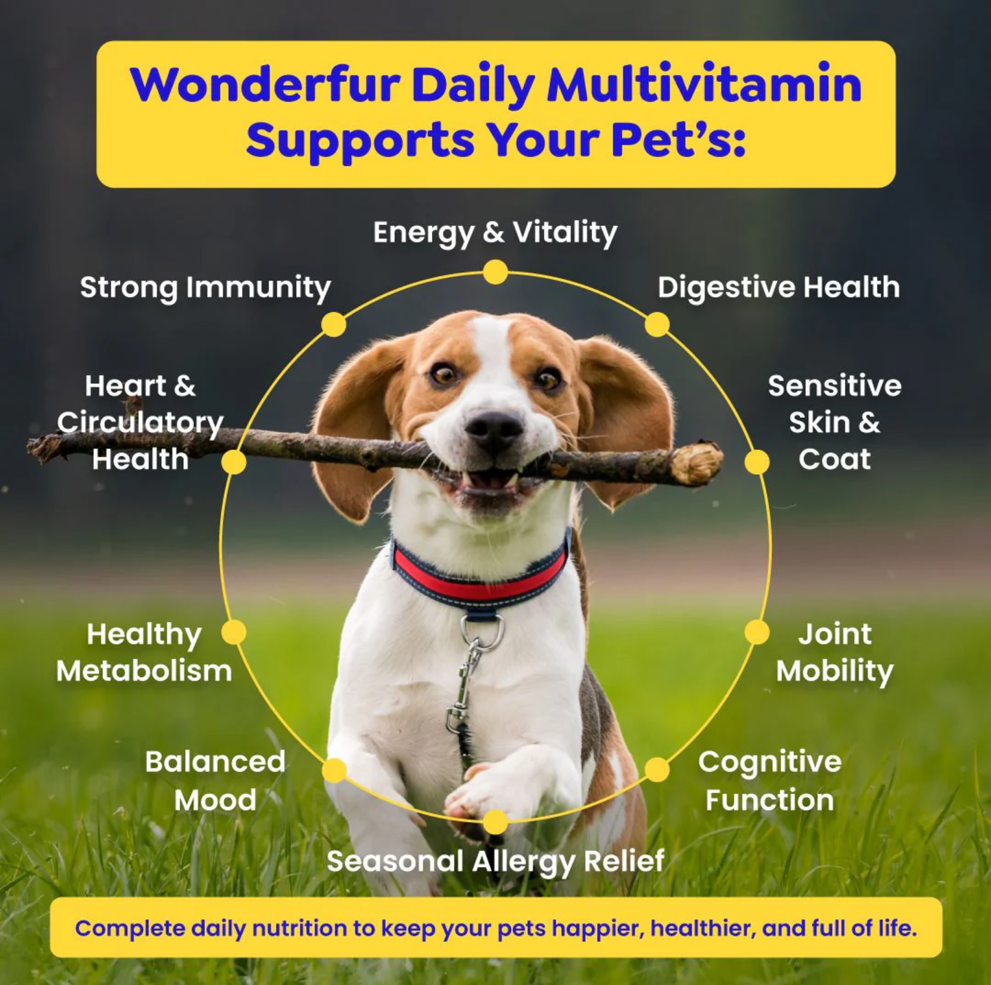 Wonderfur Daily Multivitamin for dogs and cats 200g