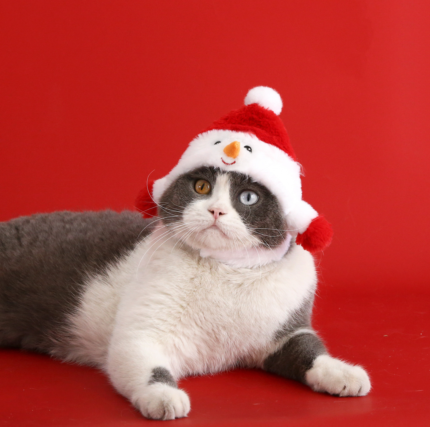 Pet Christmas Plush Costume Hat