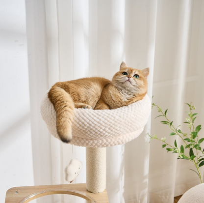 Natural Wood Cat Tree with Top Lookout and Double-Level Condo - 104cm