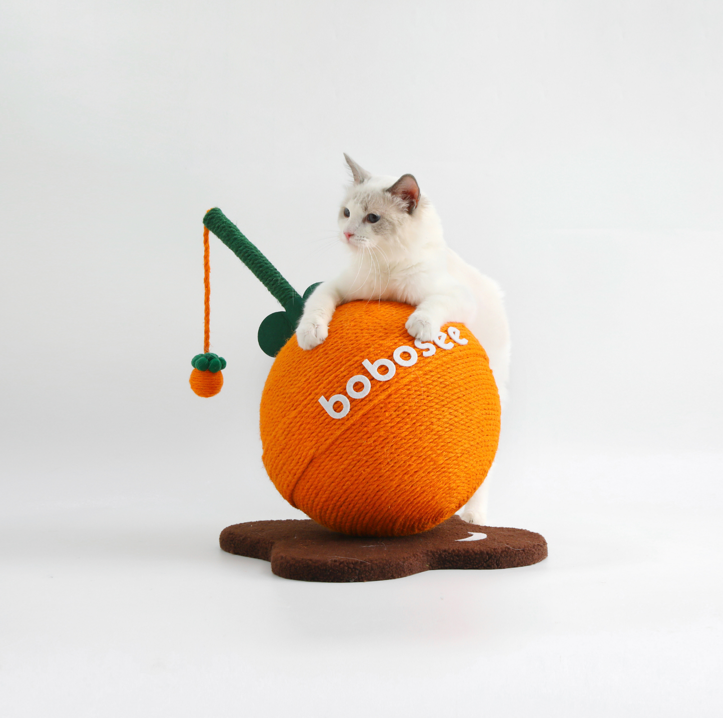 Fruit Lollipop Style Cat Scratcher Toy – Orange & Strawberry