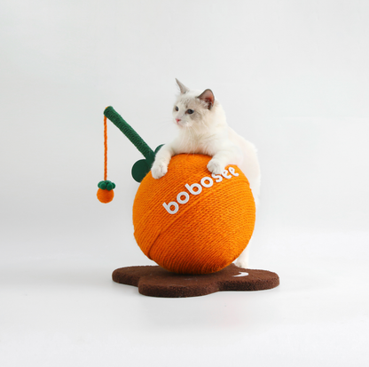 Fruit Lollipop Style Cat Scratcher Toy – Orange & Strawberry
