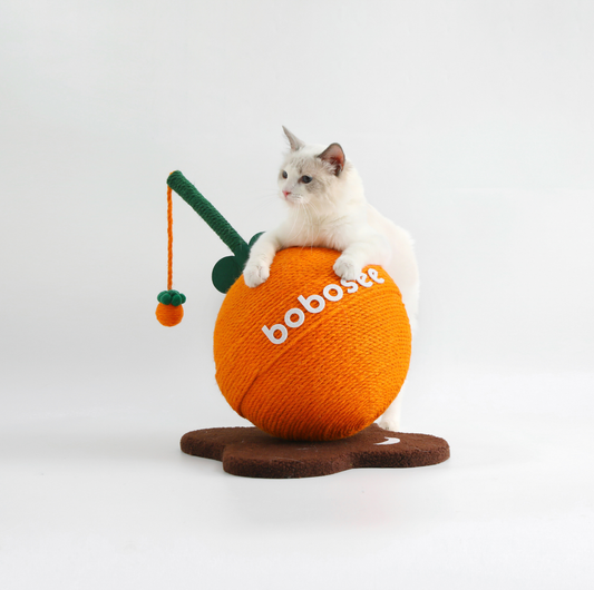 Fruit Lollipop Style Cat Scratcher Toy – Orange & Strawberry