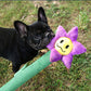 Qmonster Giant Plush Flower Dog Toys
