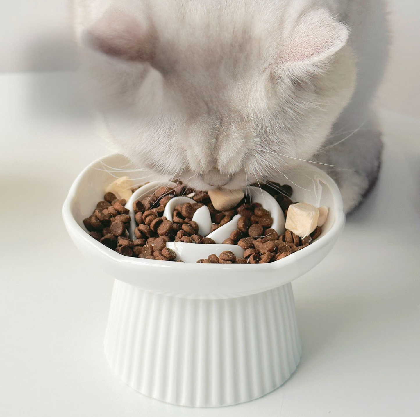 Rose-Styled Elevated Ceramic Pet Slow Feeder