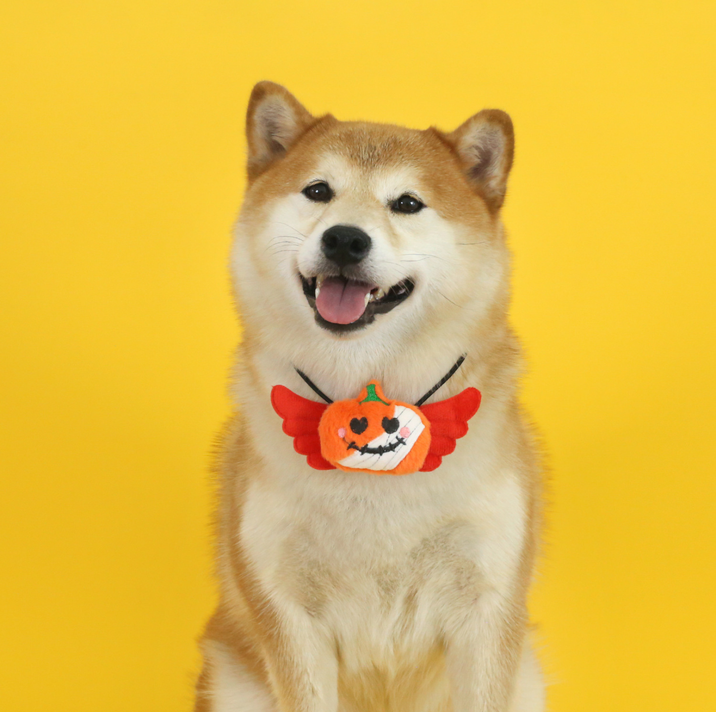 Halloween Pet Bib Collar – Pumpkin, Ghost, Spider & Bat Plush Designs for Cats and Dogs