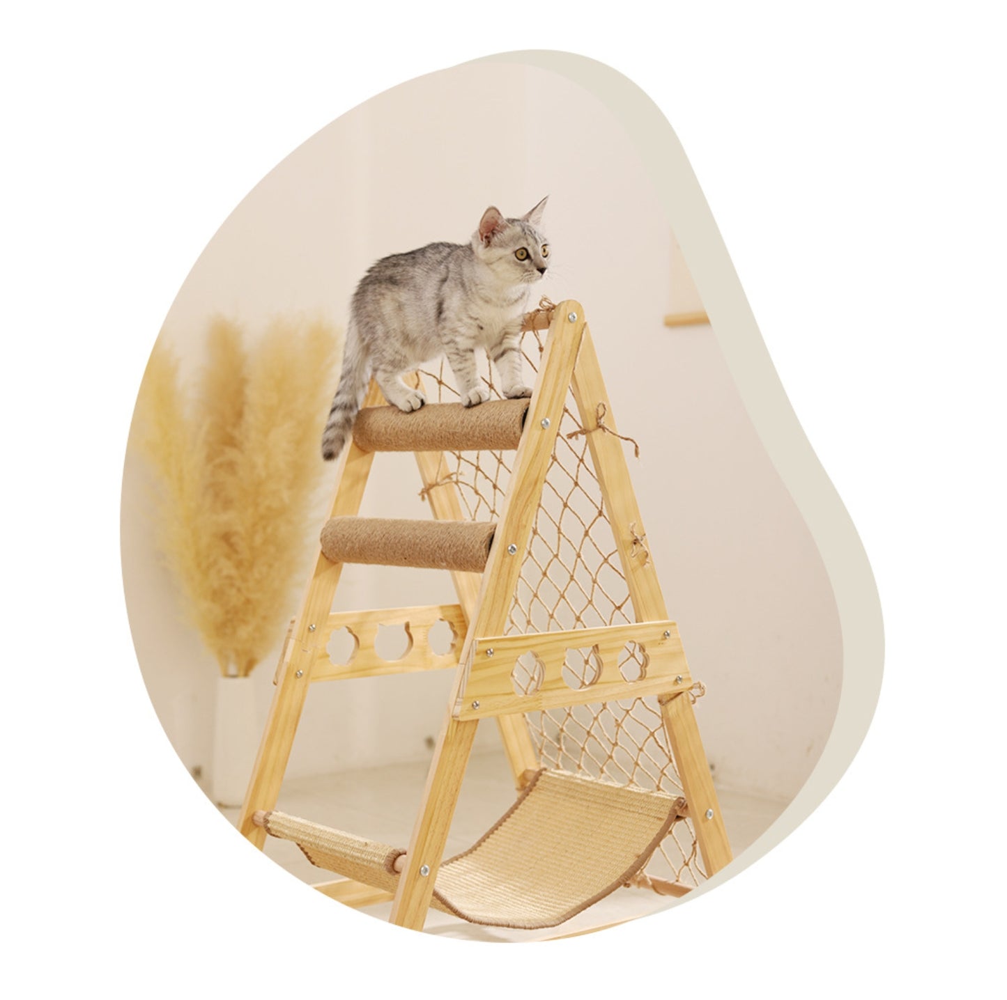 Multi-Functional Cat Playground with Wooden Ladder and Climbing Net