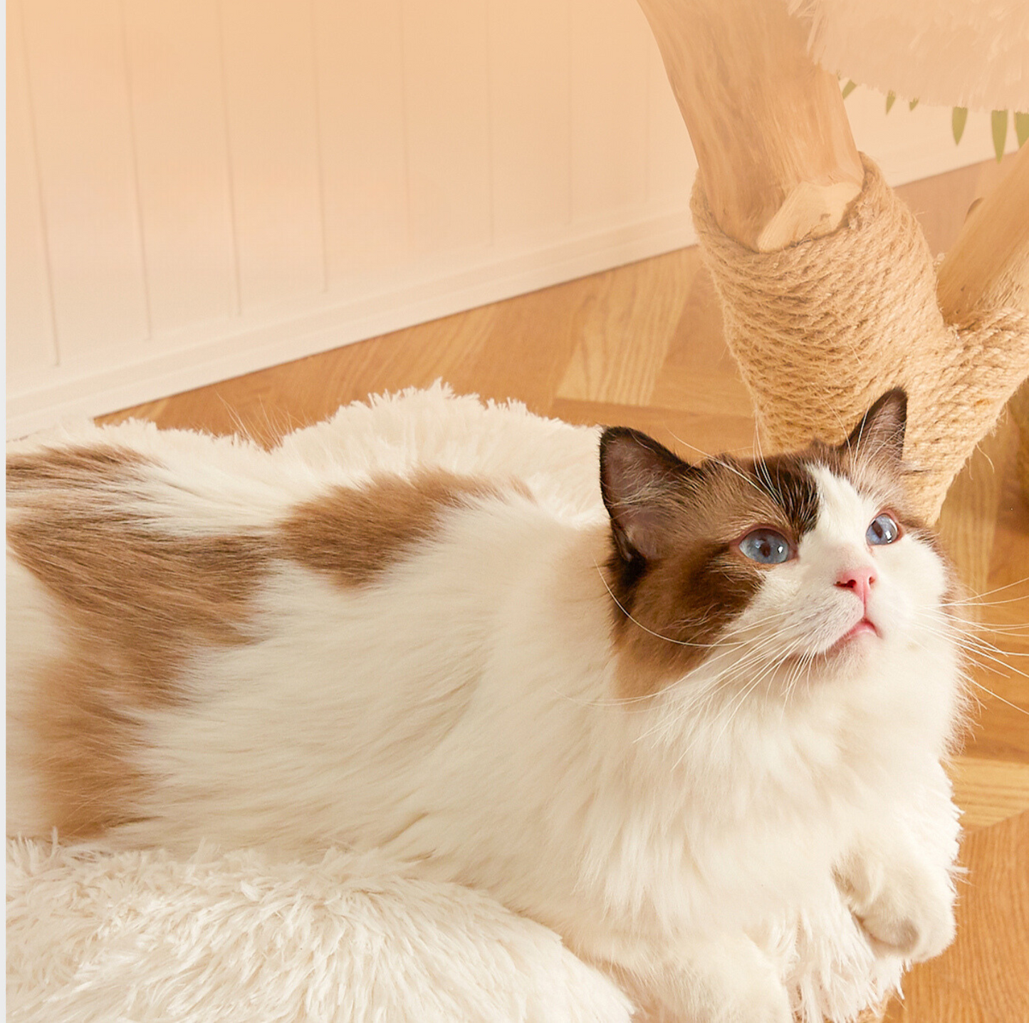 Cmisstree Cloud Series Cat Climbing Tree - Natural Fruitwood with Plush Comfort