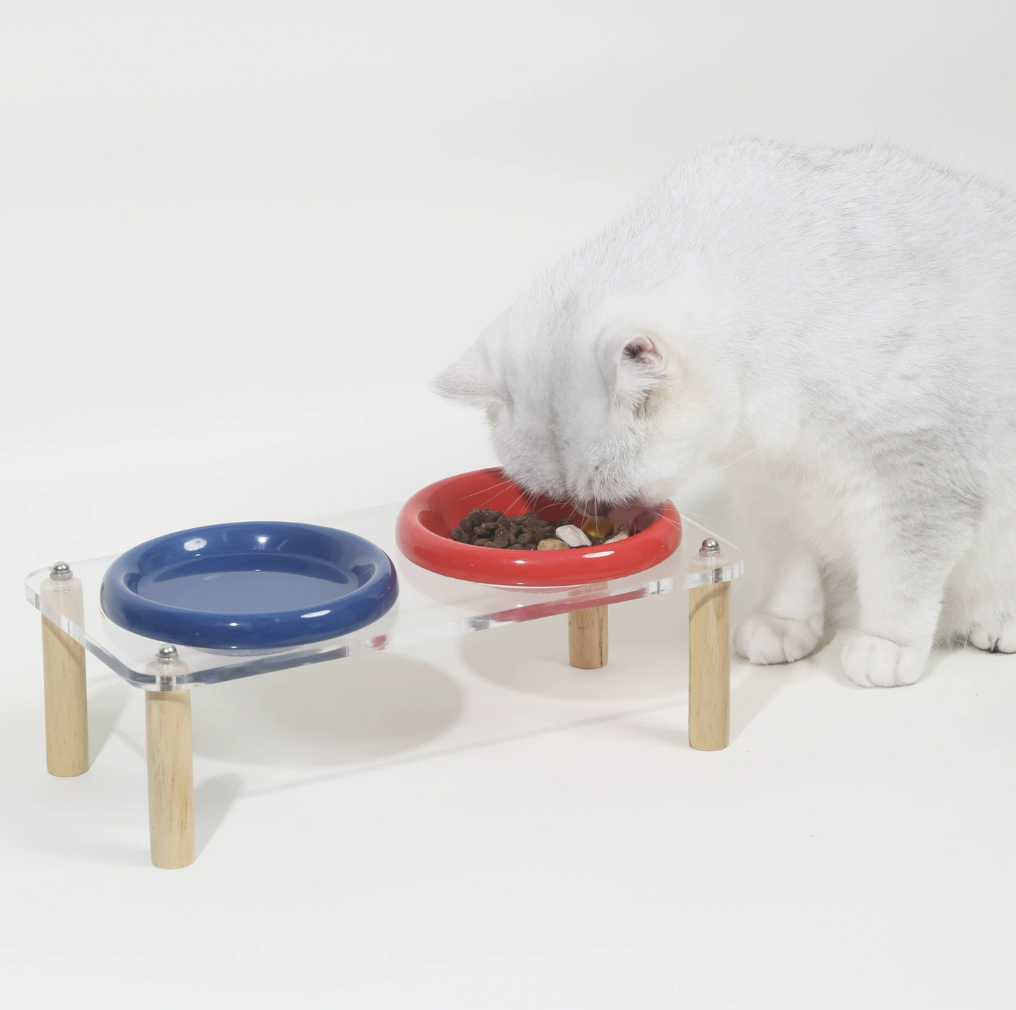 Pop Colour Ceramic Pet Bowl with Elevated Acrylic or Wooden Stand