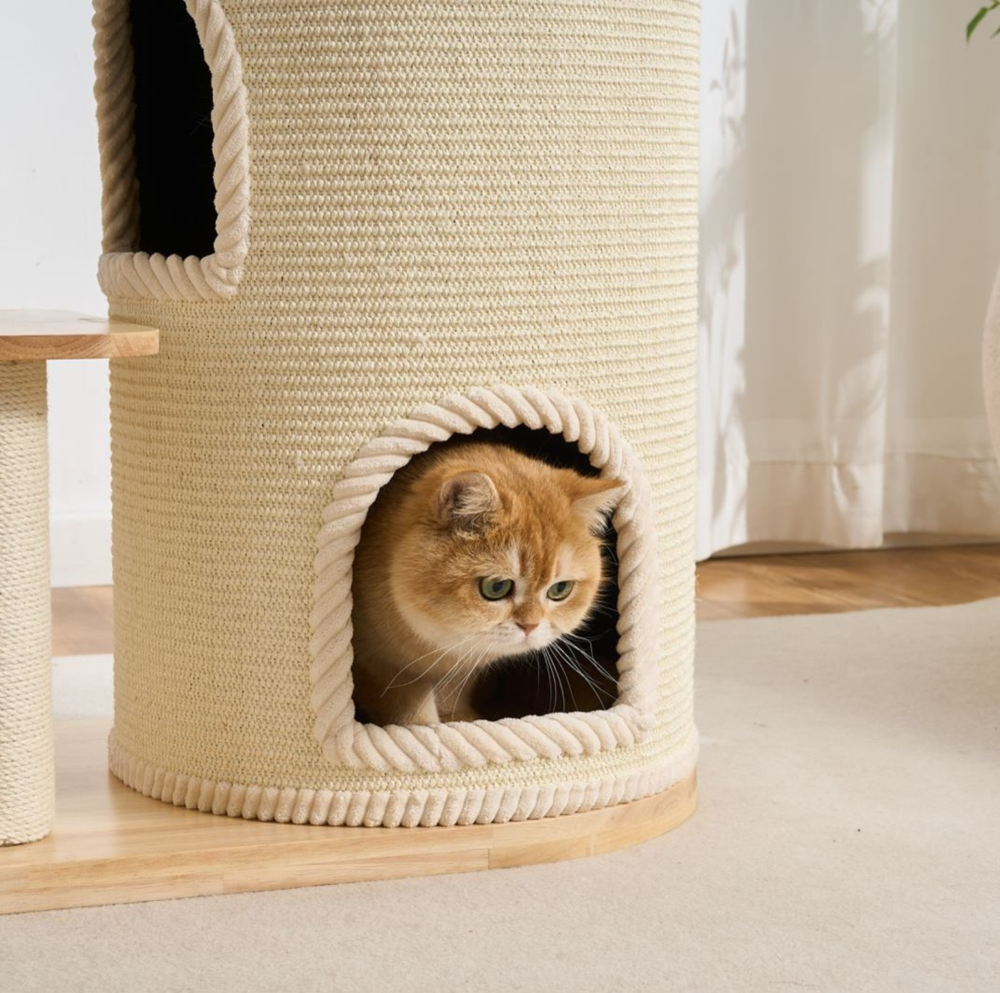 Natural wood Cat Tree with Acrylic Bowl and Double Condo – 134 cm