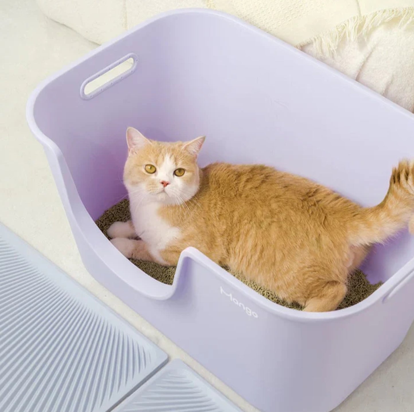 Mango Large High Edge Cat Litter Box - Mess-Free Design for Big Cats (61.5*41.5*33cm)
