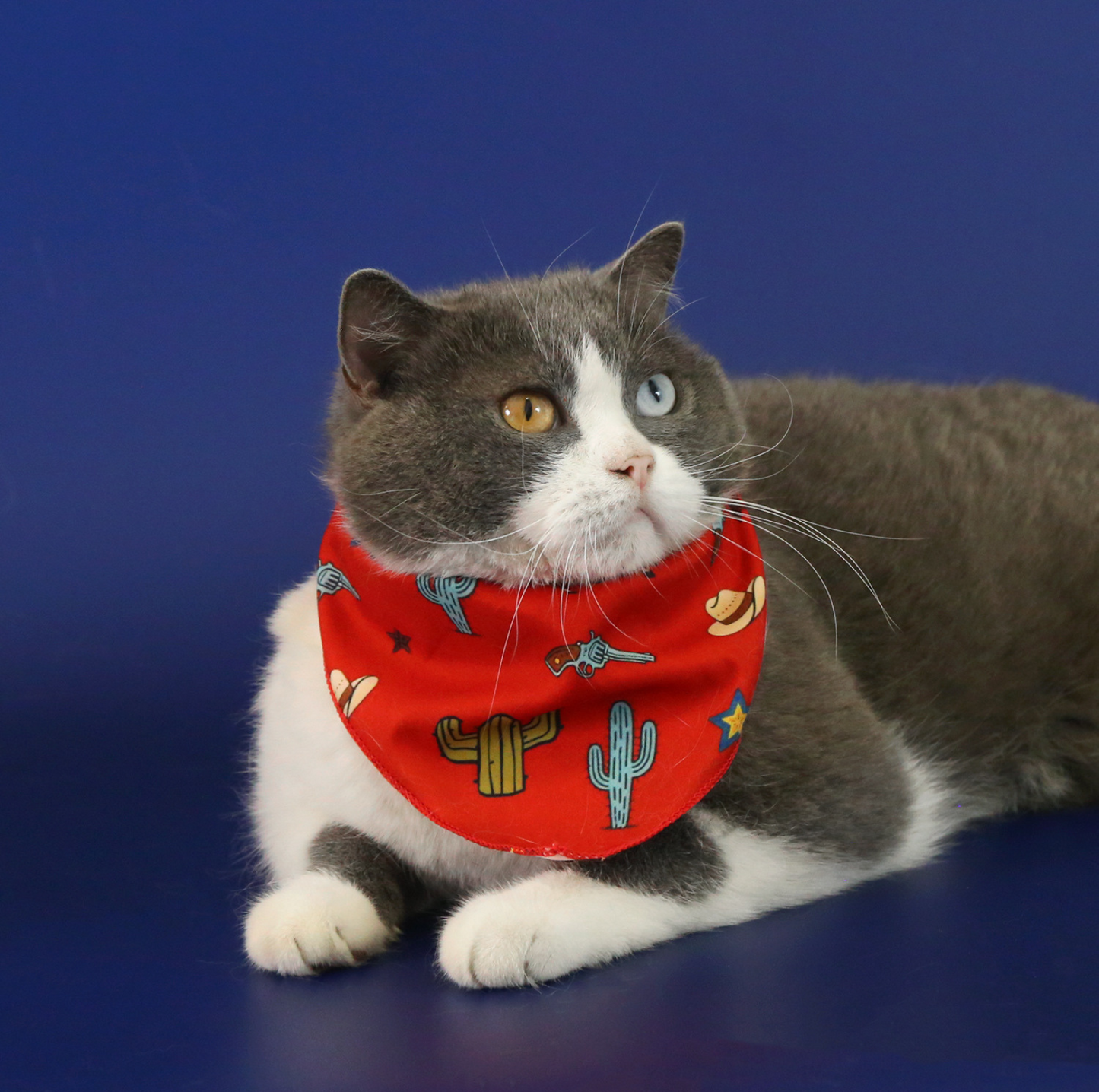 Western Cowboy Pet Hat & Bandana Set