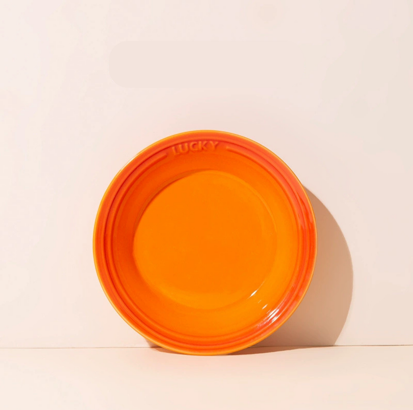 Lucky 6-Inch Flat Ceramic Pet Bowl – Multicolour Glazed Plate for Cats & Small Dogs