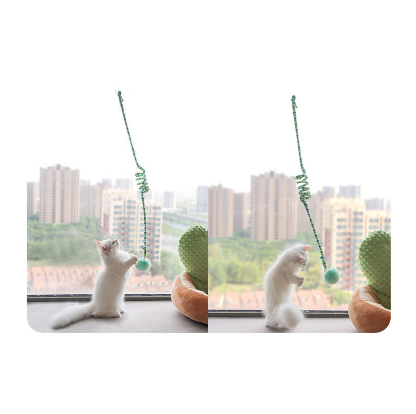Hanging Elastic Cat Teaser Toy – Interactive Pom Ball with Suction Cup
