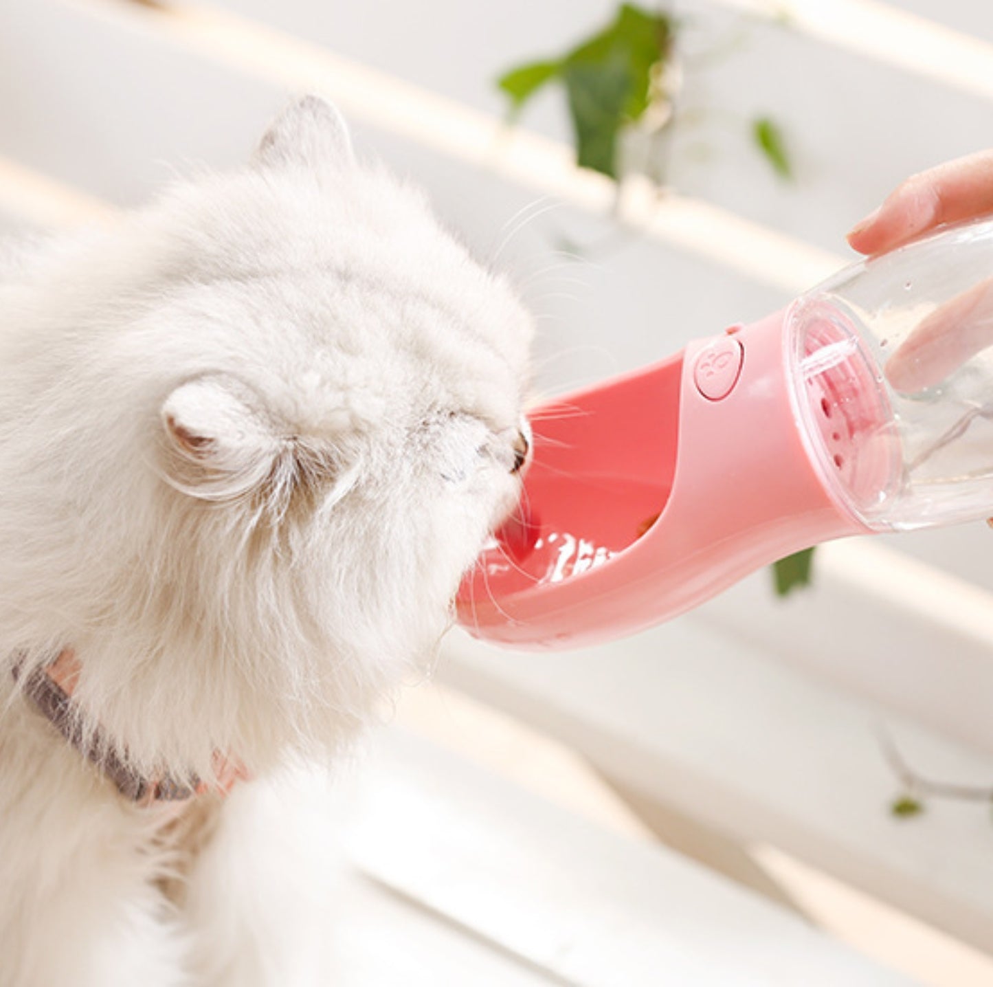 Portable Pet Water Bottle - Leak-proof and Durable, 550ml