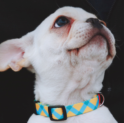 HIDREAM Colourful Dog Collar + Leash Set Adjustable Everyday Walking Set