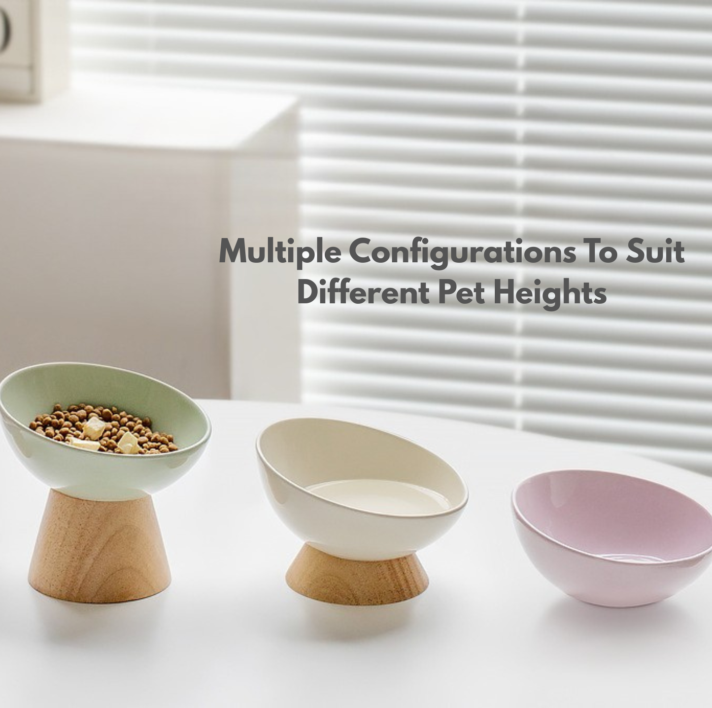 Elevated Round Ceramic Pet Bowl with Oak Base
