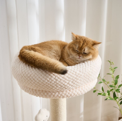 Natural wood Cat Tree with Acrylic Bowl and Double Condo – 134 cm