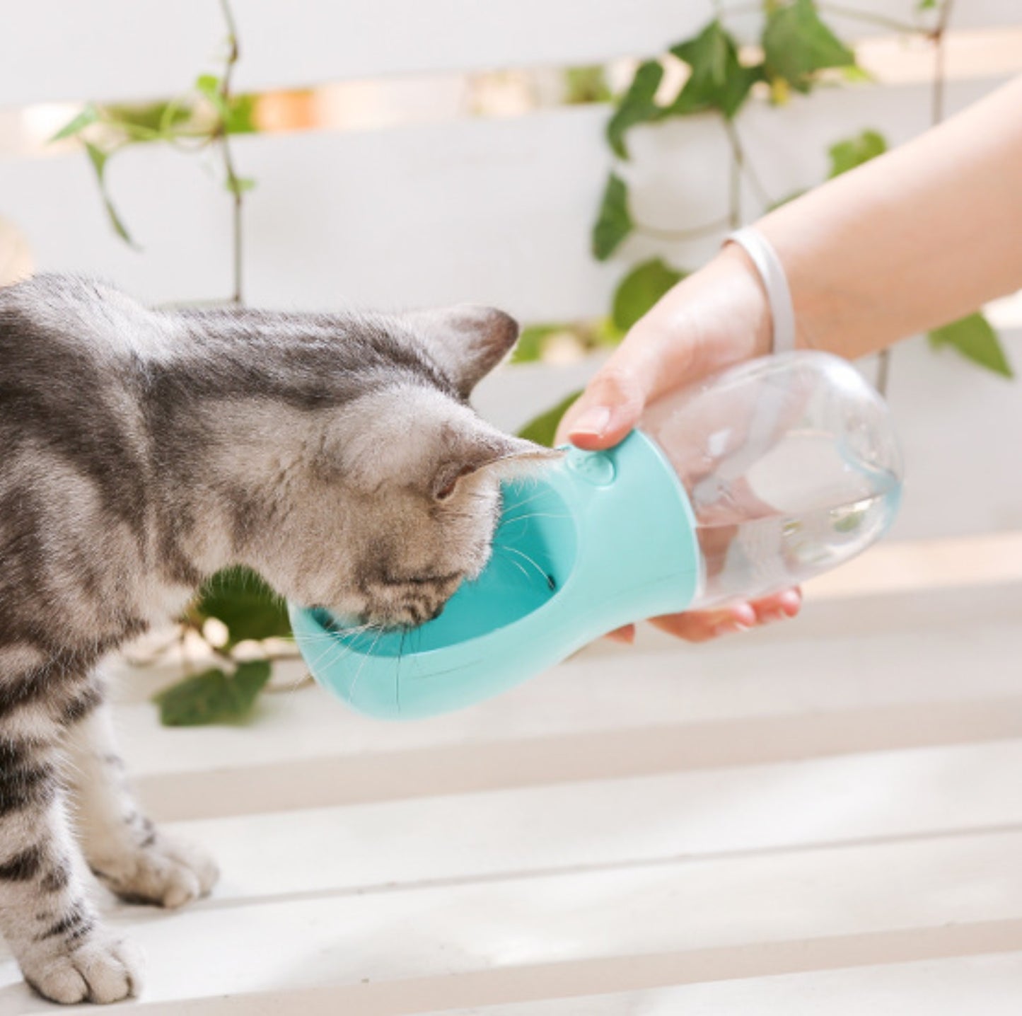 Portable Pet Water Bottle - Leak-proof and Durable, 550ml