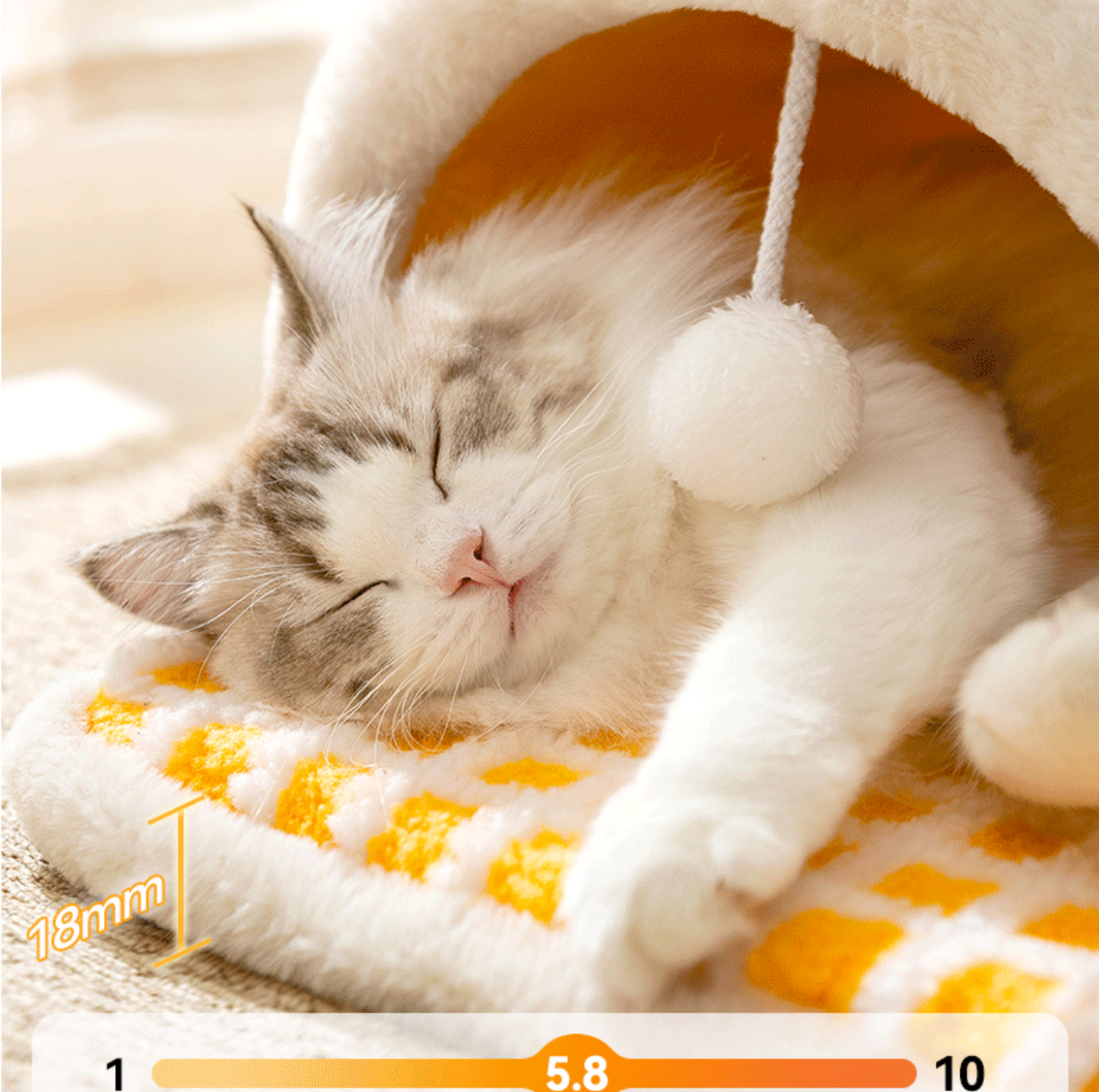 Cat Tunnel Bed – Play & Sleep in One