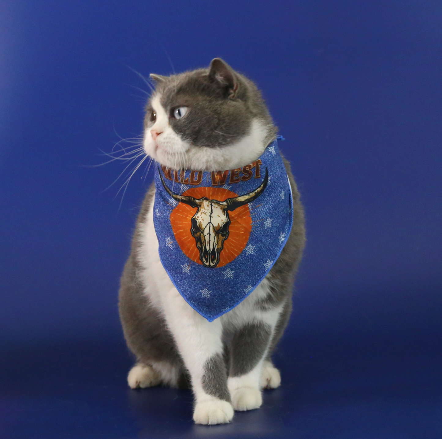 Western Cowboy Pet Hat & Bandana Set