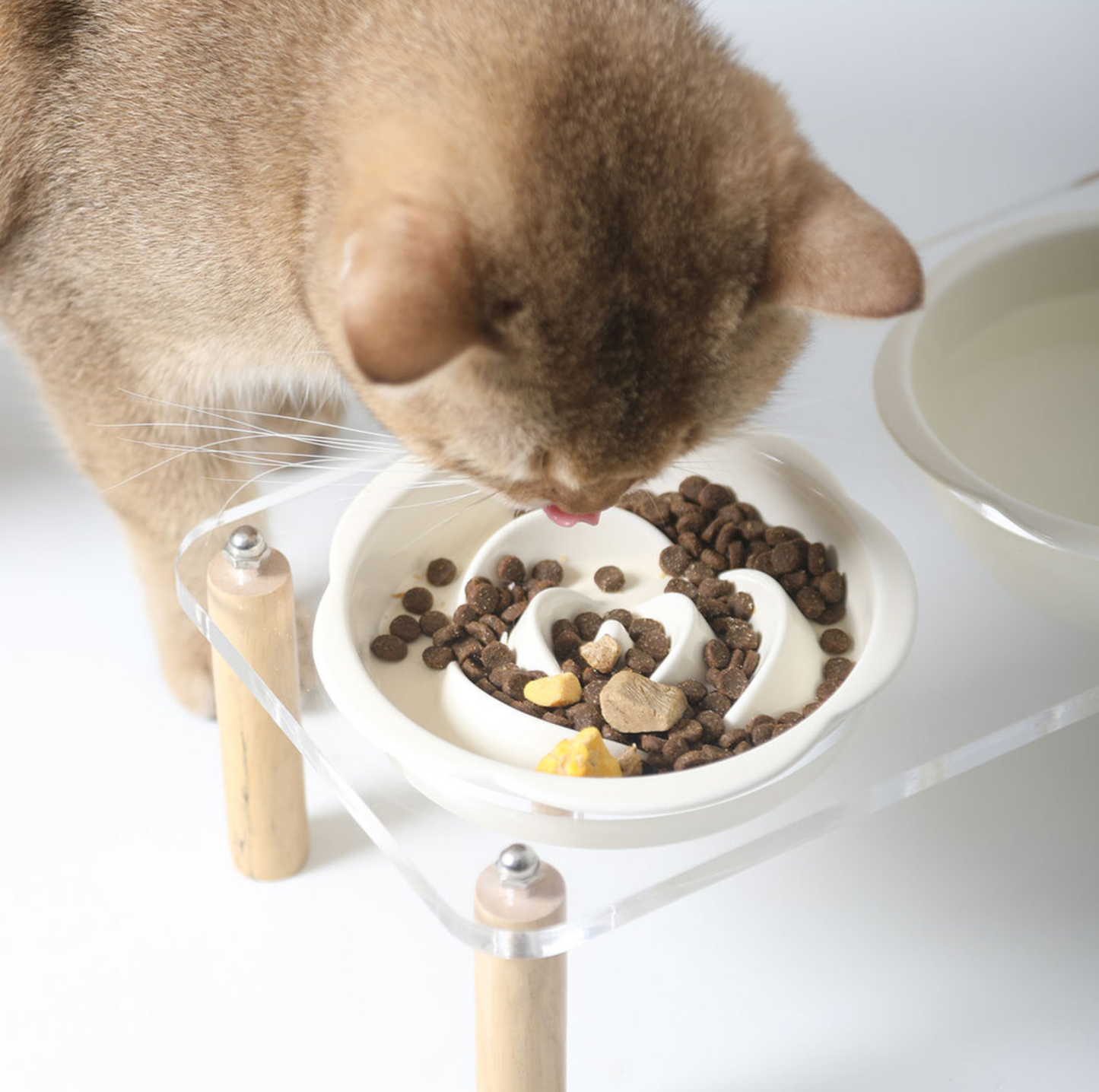 Ceramic Slow Feeder Bowl / Water Bowl with Optional Acrylic Stand