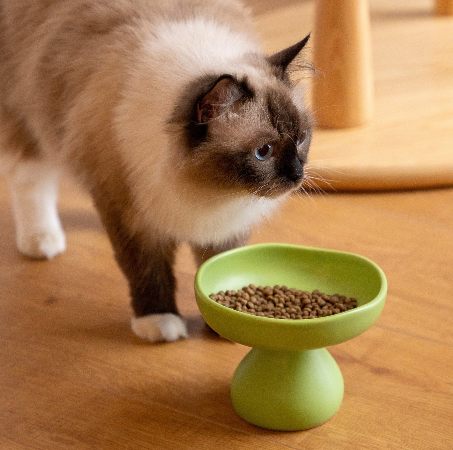 KAMA MUTA Mushroom Ceramic Pet Bowl