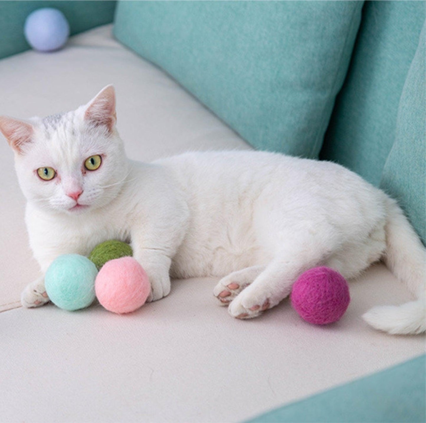 Colourful Woolen Cat/Dog Toy Ball Set (6pcs/comes with random colour)