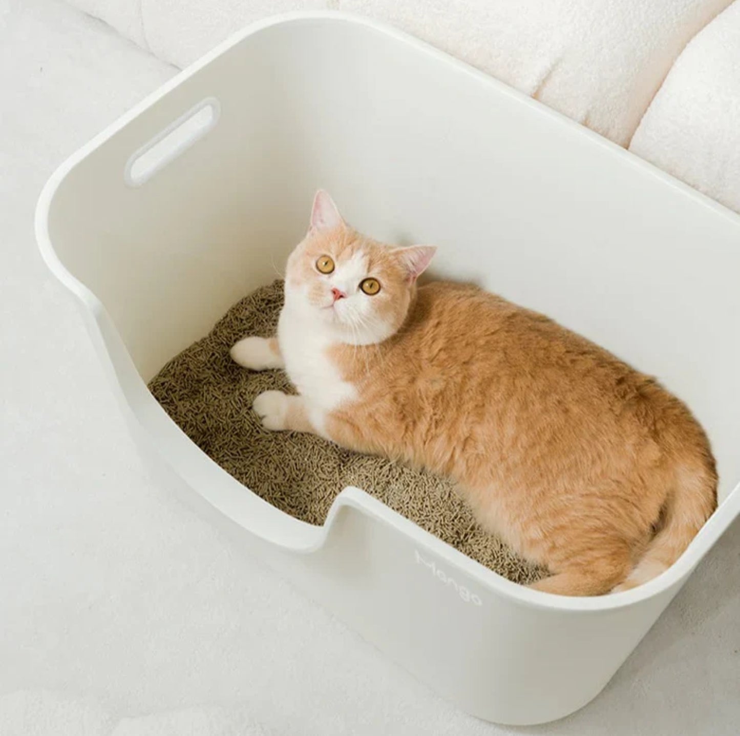 Mango Large High Edge Cat Litter Box - Mess-Free Design for Big Cats (61.5*41.5*33cm)