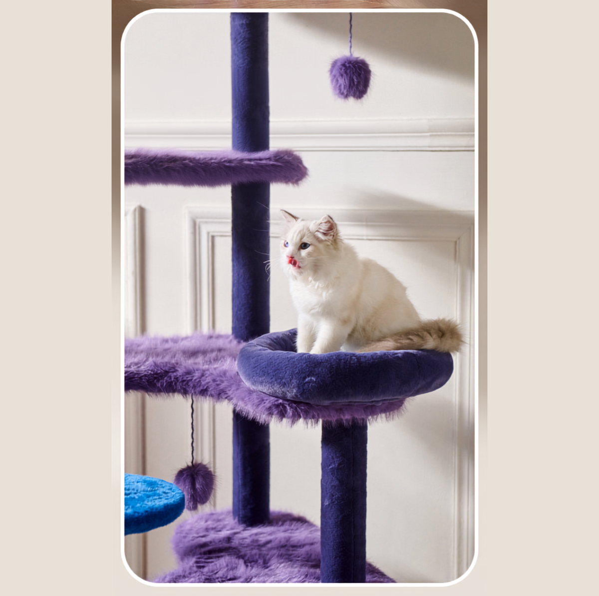 Halloween Witch Hat Cat Tree with Condo