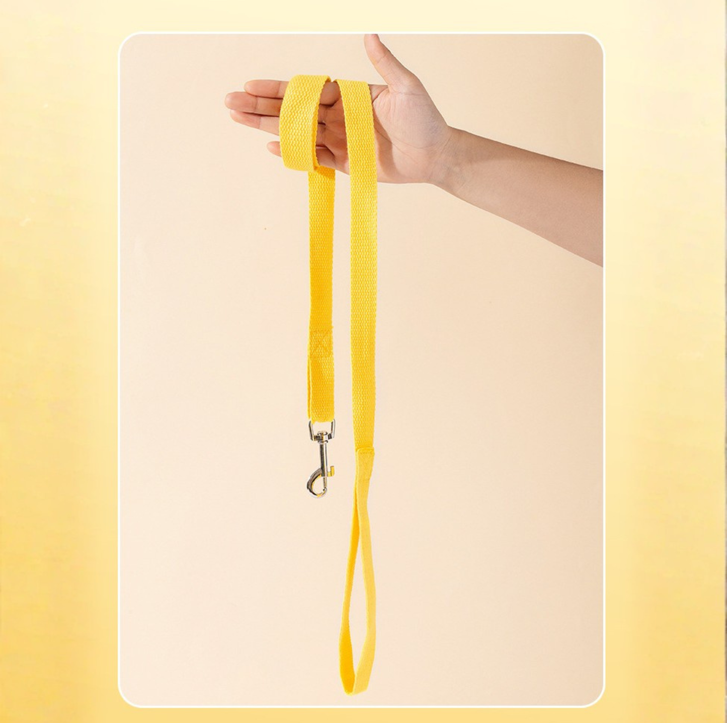 Vibrant Outdoor Pet Harness with Vest-Style Support