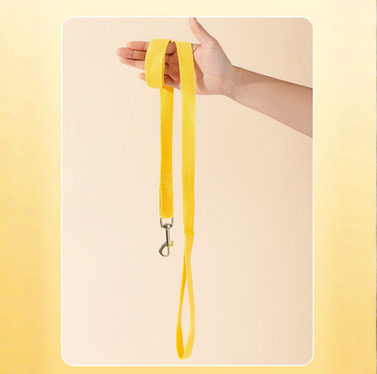 Vibrant Outdoor Pet Harness with Vest-Style Support