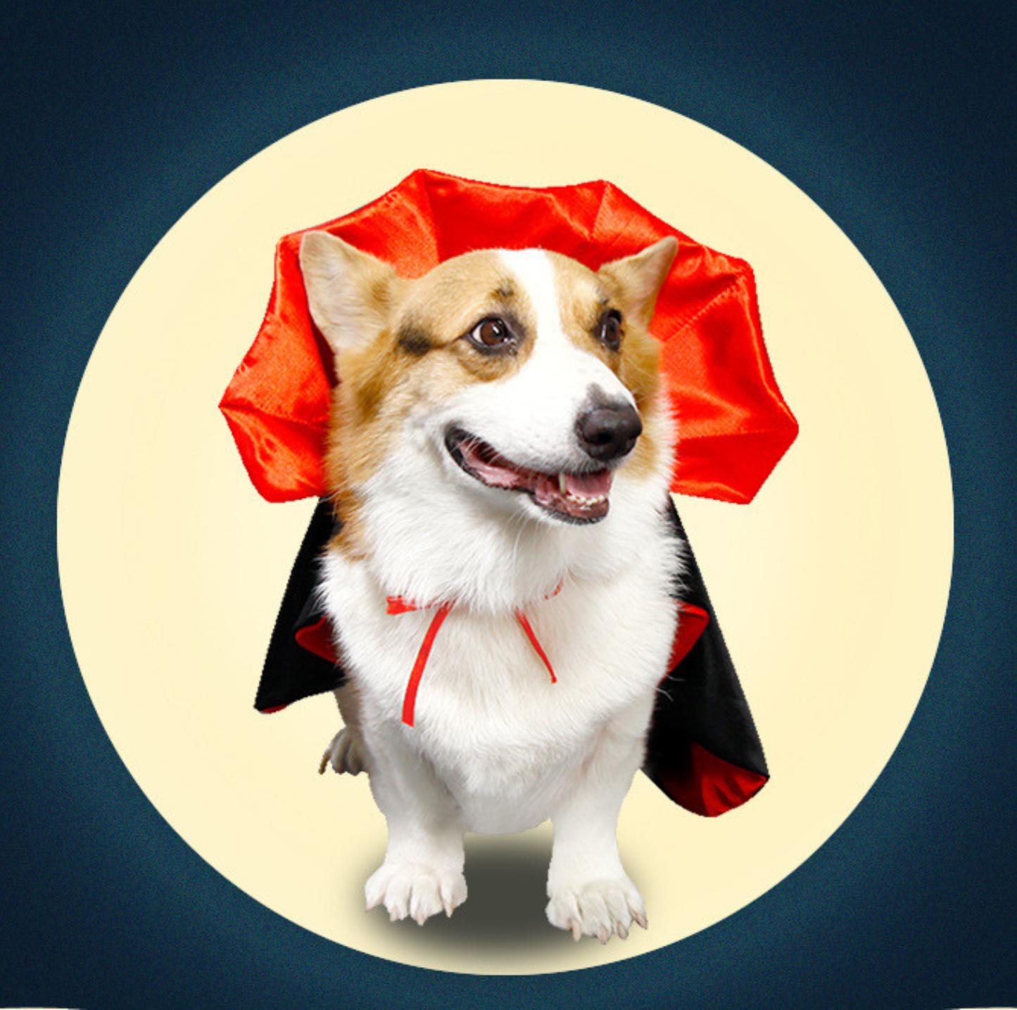 Halloween Vampire Cape for Cats and Dogs