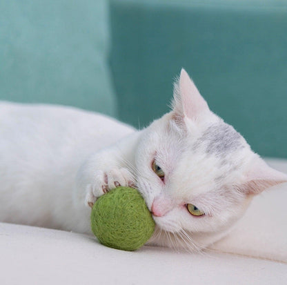 Colourful Woolen Cat/Dog Toy Ball Set (6pcs/comes with random colour)