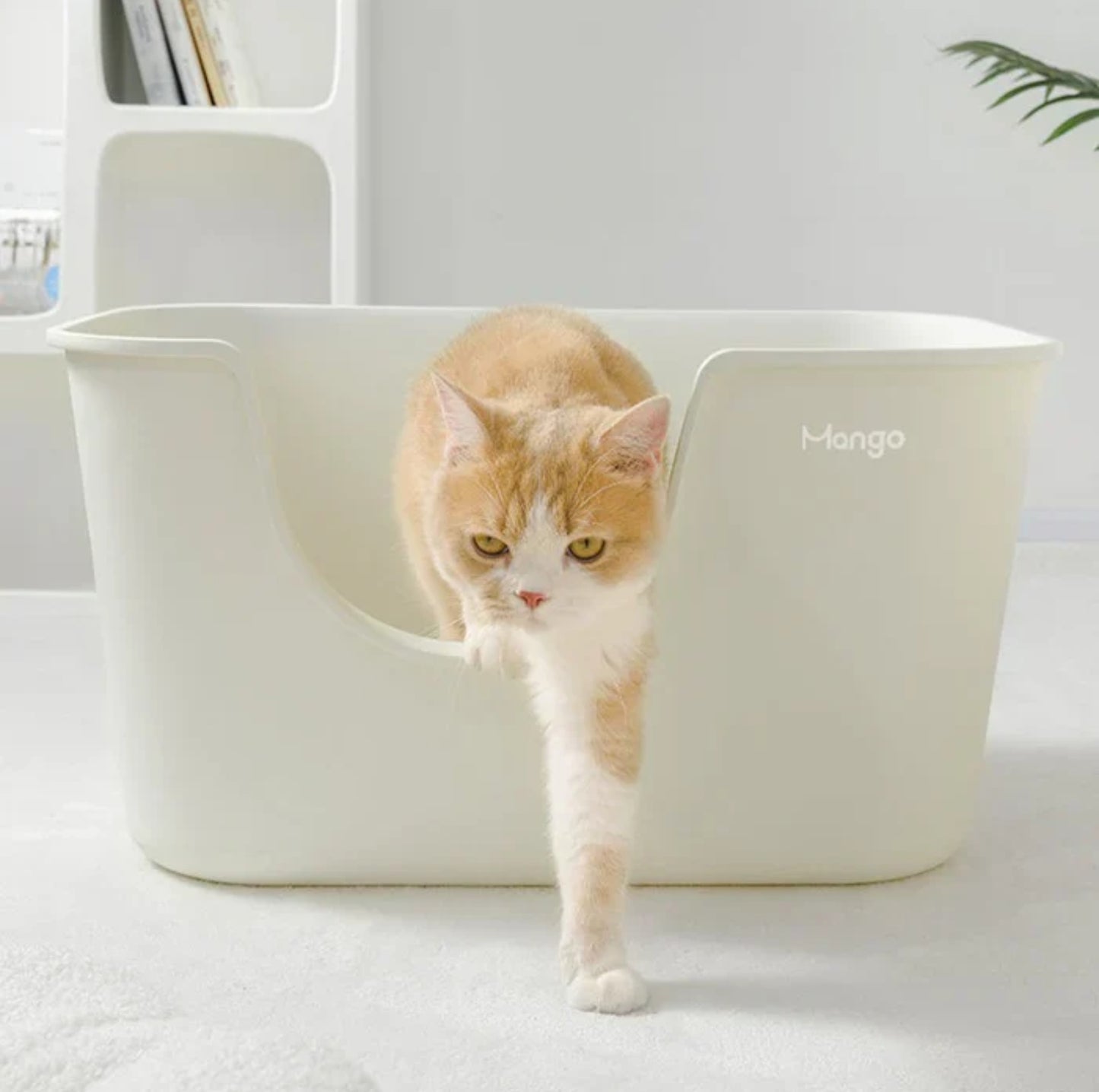 Mango Large High Edge Cat Litter Box - Mess-Free Design for Big Cats (61.5*41.5*33cm)