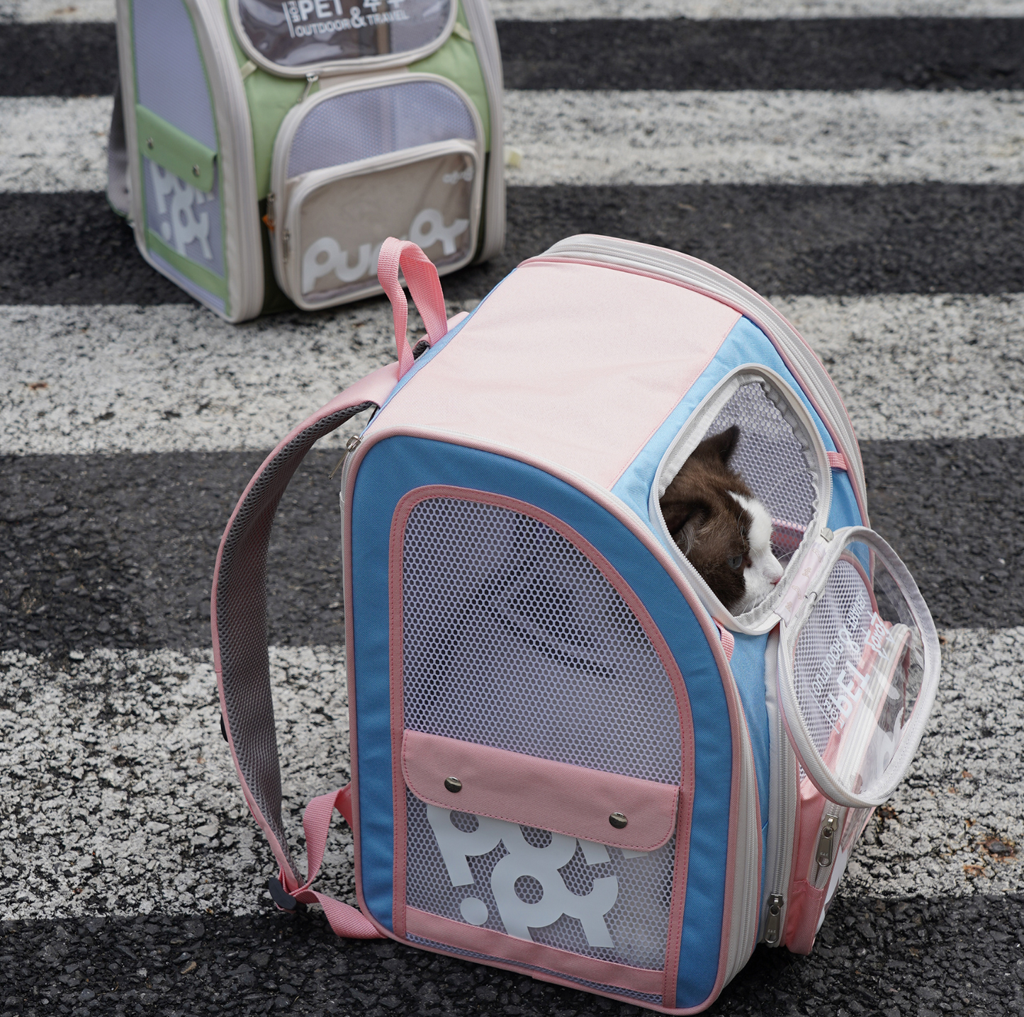 Purrpy "Candy Jelly" Pet Backpack