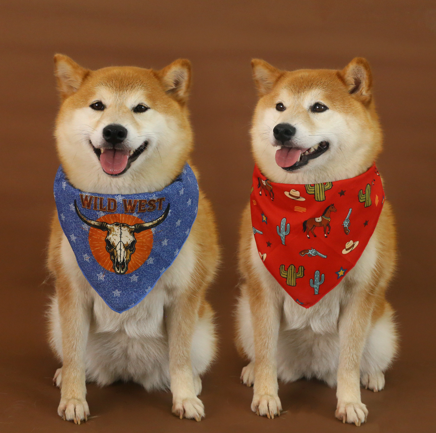 Western Cowboy Pet Hat & Bandana Set