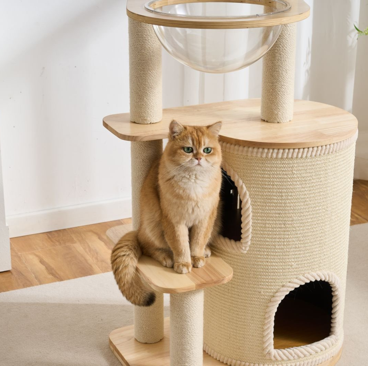 Natural wood Cat Tree with Acrylic Bowl and Double Condo – 134 cm