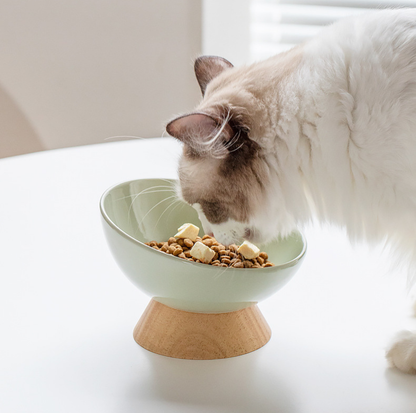 Elevated Round Ceramic Pet Bowl with Oak Base