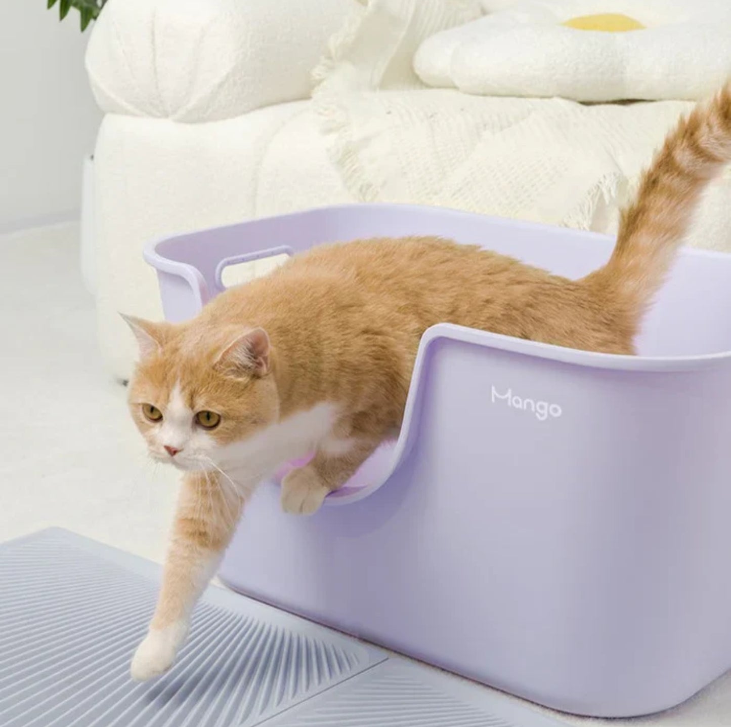 Mango Large High Edge Cat Litter Box - Mess-Free Design for Big Cats (61.5*41.5*33cm)