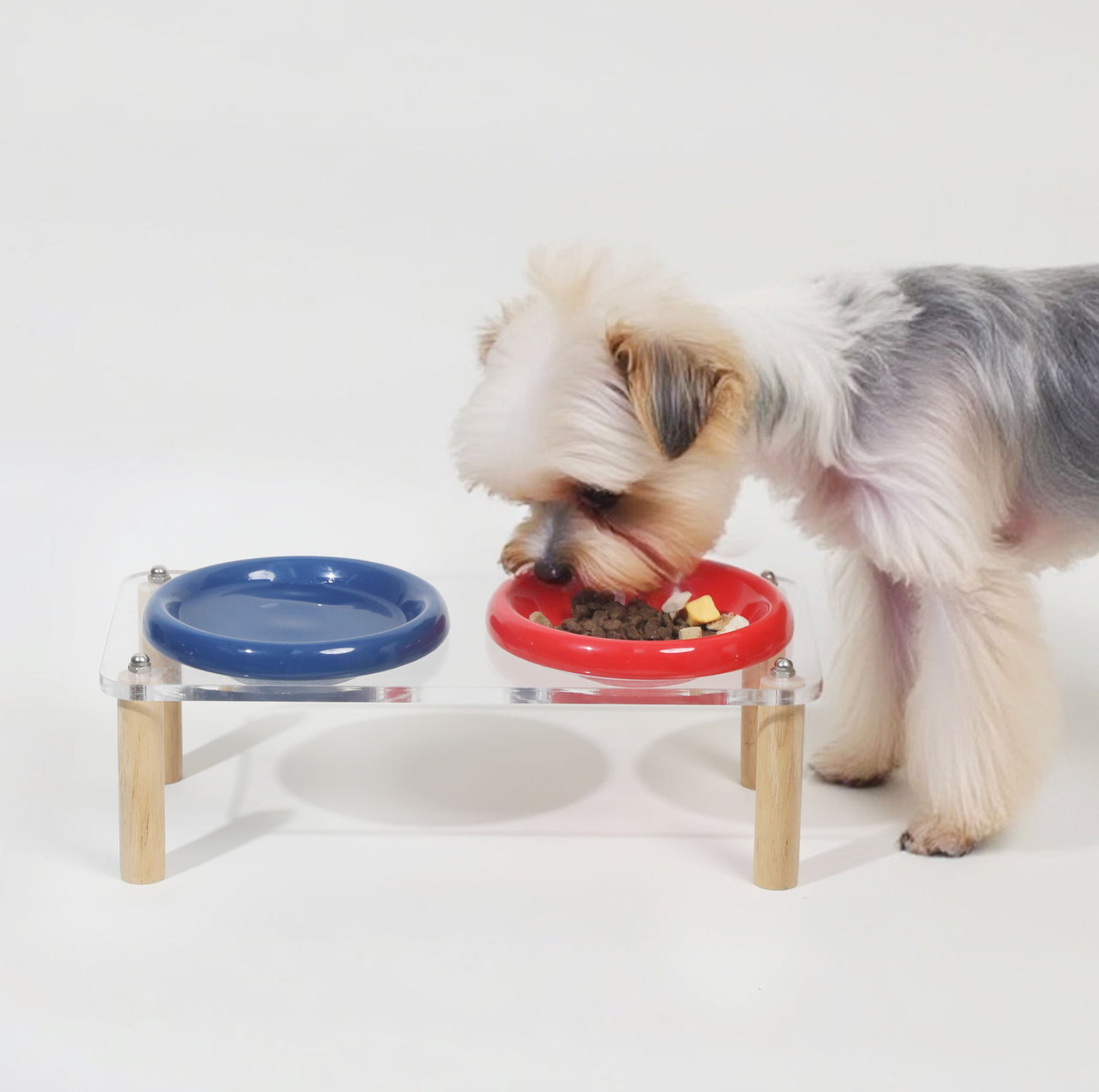 Pop Colour Ceramic Pet Bowl with Elevated Acrylic or Wooden Stand